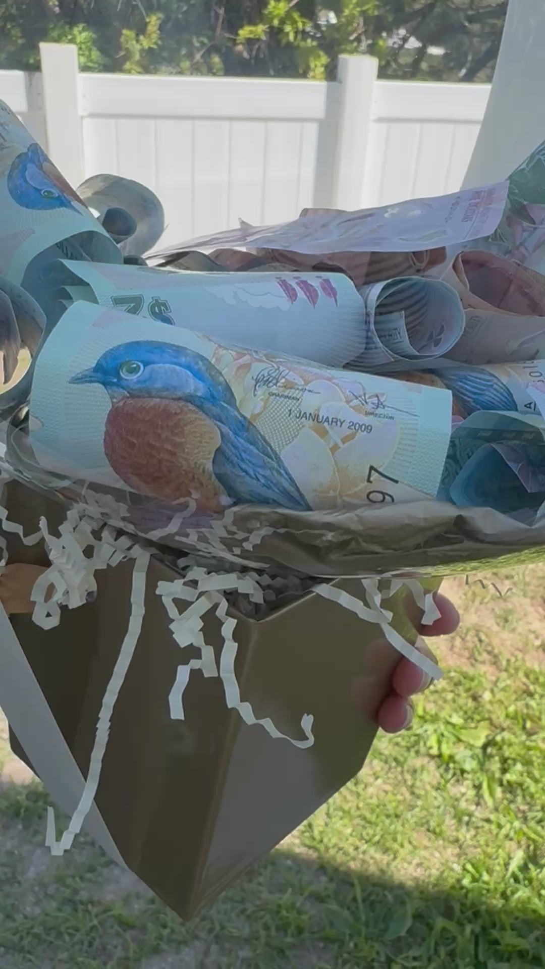 POP ME! Surprise Money Balloon Large For any occasion!